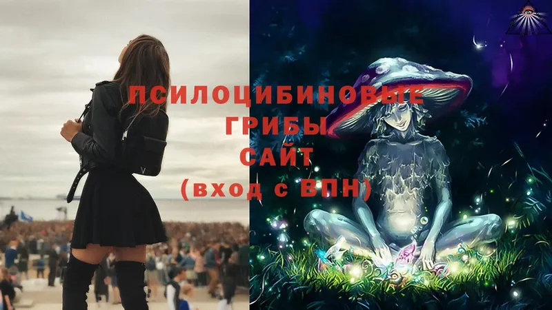 Галлюциногенные грибы Magic Shrooms  OMG сайт  Лесозаводск 